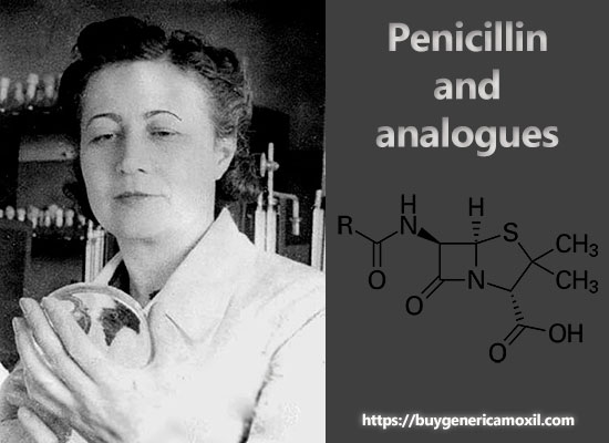 Penicillin and analogues