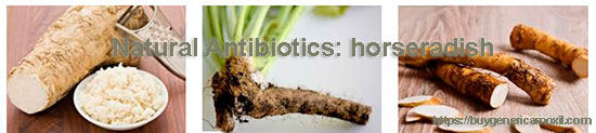 Natural Antibiotics: horseradish