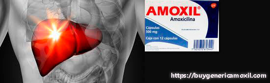 liver and Amoxil