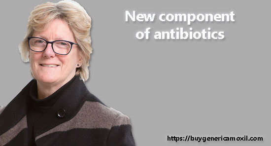new component of antibiotics