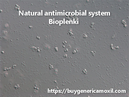 bioplenki natural antimicrobial system