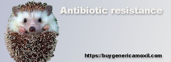 antibiotic resistance