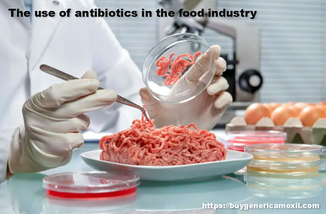 antibiotics in the food industry